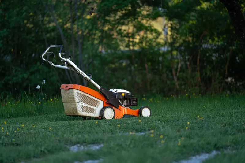 A lawn mower standing on a freshly cut green lawn