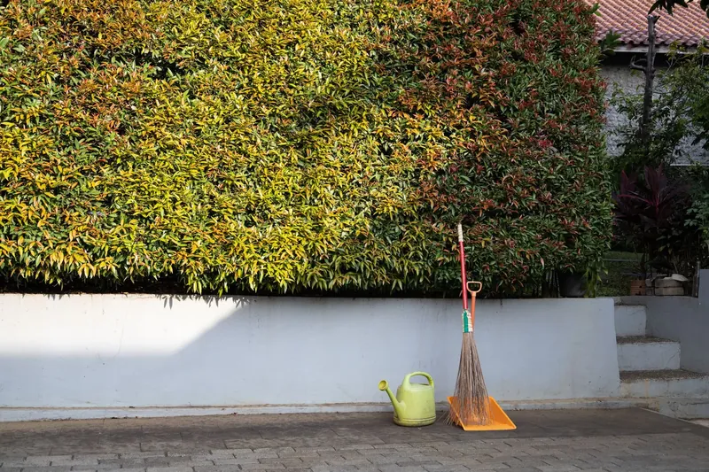 Garden tools and a broom resting against a neatly clipped hedge